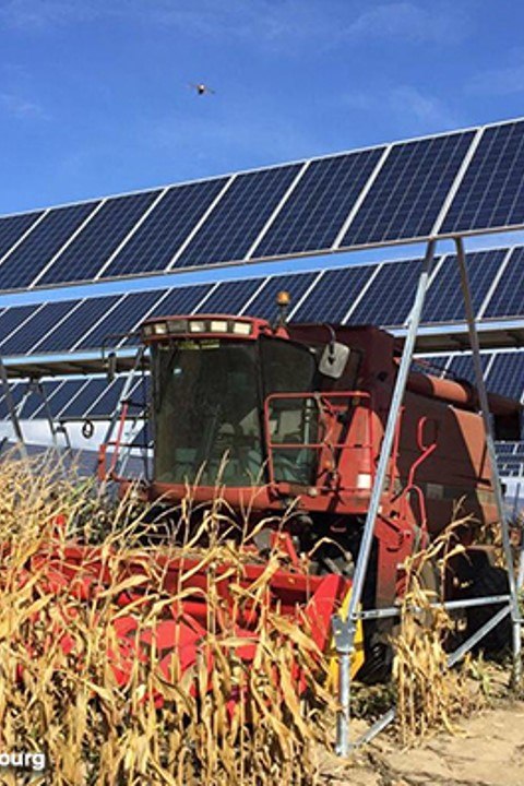 agrivoltaïsme.jpg